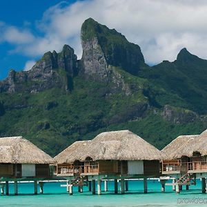 Overwater Bungalow Suite mit 1 Schlafzimmer